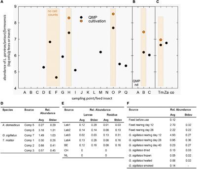 Feed Insects as a Reservoir of Granadaene-Producing Lactococci